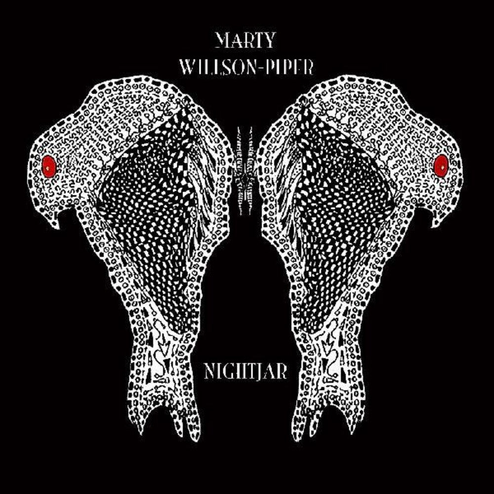 the album cover for Marty Willson-Piper - Nightjar [RSD Drops Sep 2020]