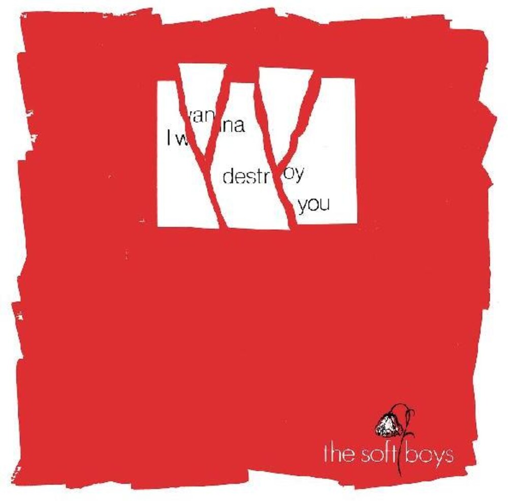the album cover for The Soft Boys - I Wanna Destroy You / Near The Soft Boys (40th Anniversary Edition) [RSD Drops Aug 2020]