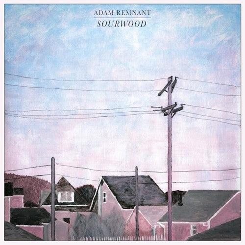 the album cover for Adam Remnant - Sourwood