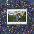 the album cover for Tomberlin - At Weddings