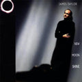the album cover for James Taylor - New Moonshine [LP]