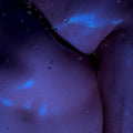 the album cover for Sinjin Hawke / Jones,Zora - Vicious Circles
