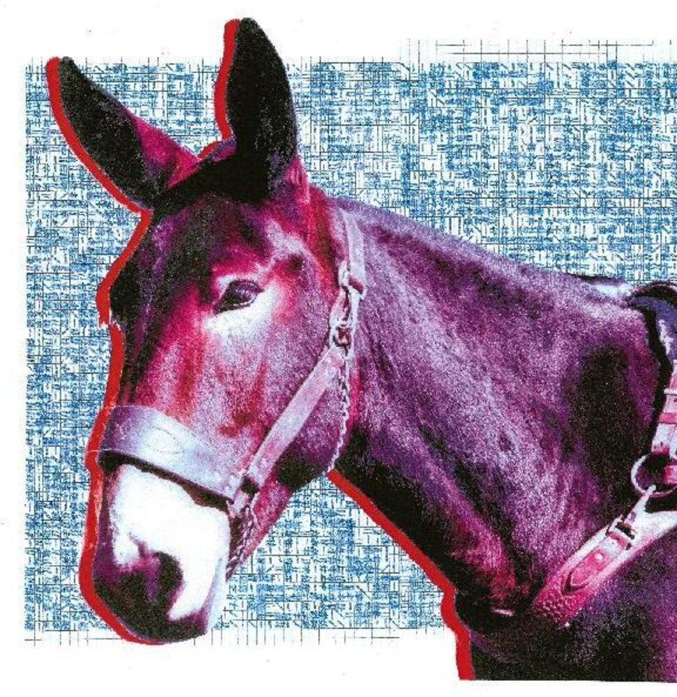 the album cover for Protomartyr - Ultimate Success Today