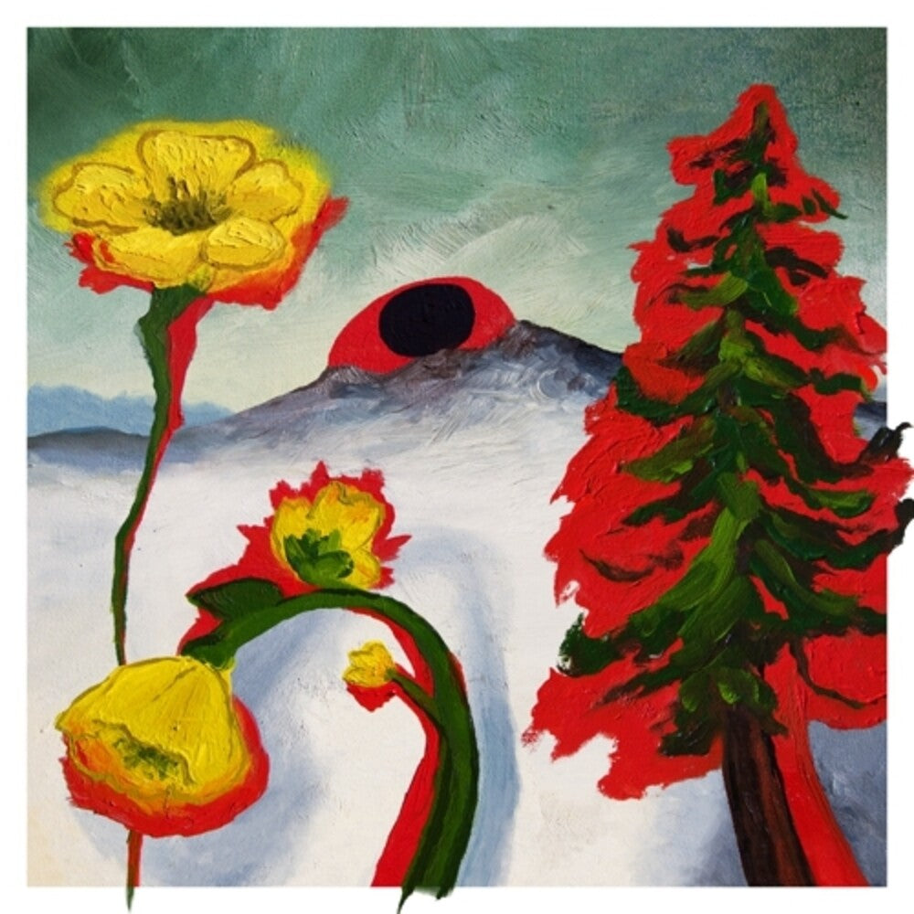 the album cover for Woods - Strange To Explain