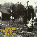 the album cover for Seven Mary Three - American Standard (Grey Vinyl) (Gry) [Reissue]
