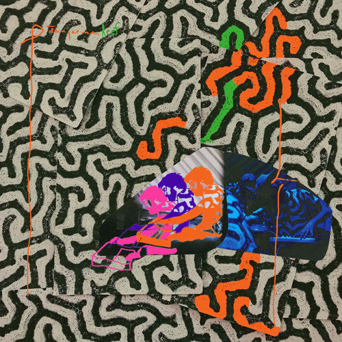 the album cover for Animal Collective - Tangerine Reef
