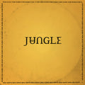 the album cover for Jungle - For Ever