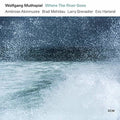 the album cover for Wolfgang Muthspiel / Akinmusire,Ambrose / Mehldau - Where The River Goes