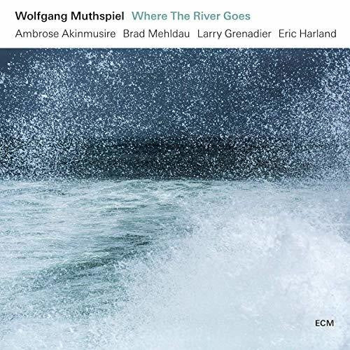 the album cover for Wolfgang Muthspiel / Akinmusire,Ambrose / Mehldau - Where The River Goes