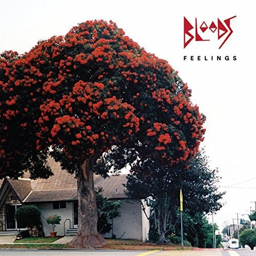 the album cover for Bloods - Feelings