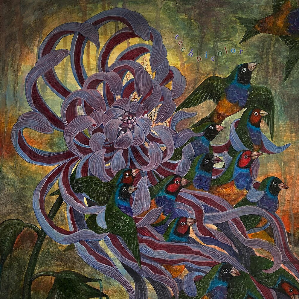 the album cover for Covet - Technicolor