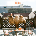 the album cover for Wilco - Wilco (The Album) [Picture Disc LP]