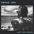 the album cover for Deniz Tek - Lost for Words