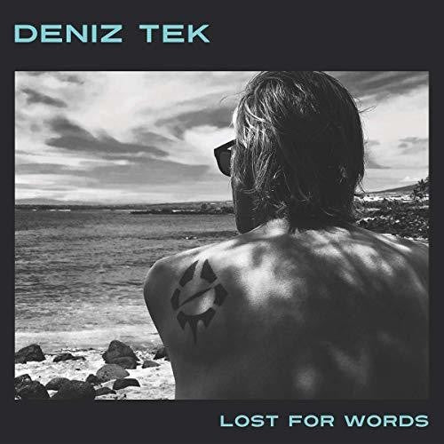the album cover for Deniz Tek - Lost for Words
