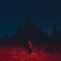 the album cover for Phoebe Bridgers - Punisher [LP]