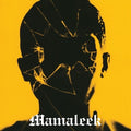 the album cover for Mamaleek - Out Of Time