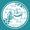 the album cover for Hector Sithole / On Paper - Love Love [Limited Edition]