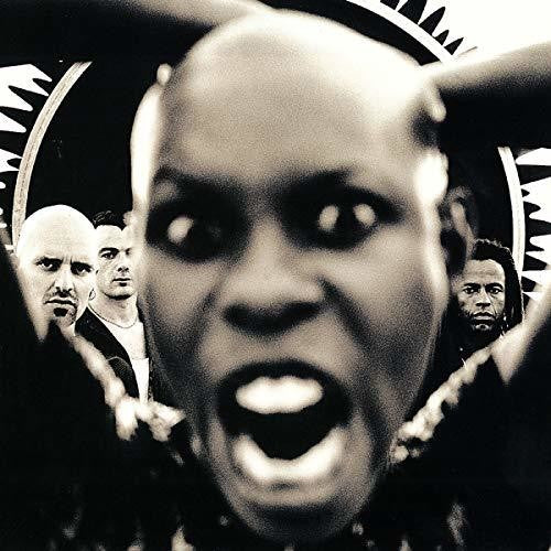 the album cover for Skunk Anansie - Stoosh