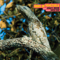 the album cover for Jean Roche C - Birds Of Venezuela