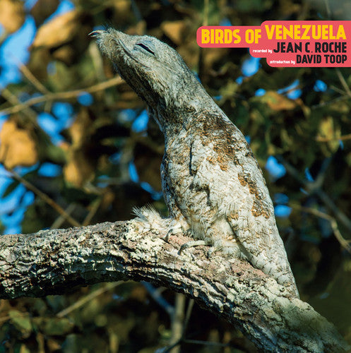 the album cover for Jean Roche C - Birds Of Venezuela