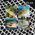 the album cover for Size - Nadie Puede Vivir Con Un Monstruo [Limited Edition] (Wht)