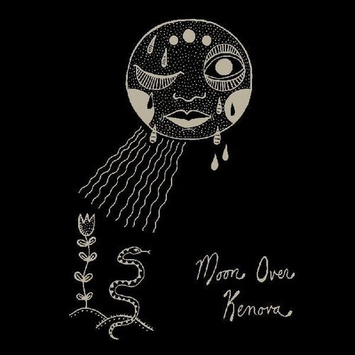 the album cover for William Matheny - Moon Over Kenova