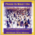 the album cover for Shekinah Glory Ministry - Praise Is What I Do