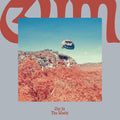 the album cover for Gum - Out In The World [LP]