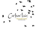 the album cover for Cocteau Twins - Treasure Hiding: The Fontana Years