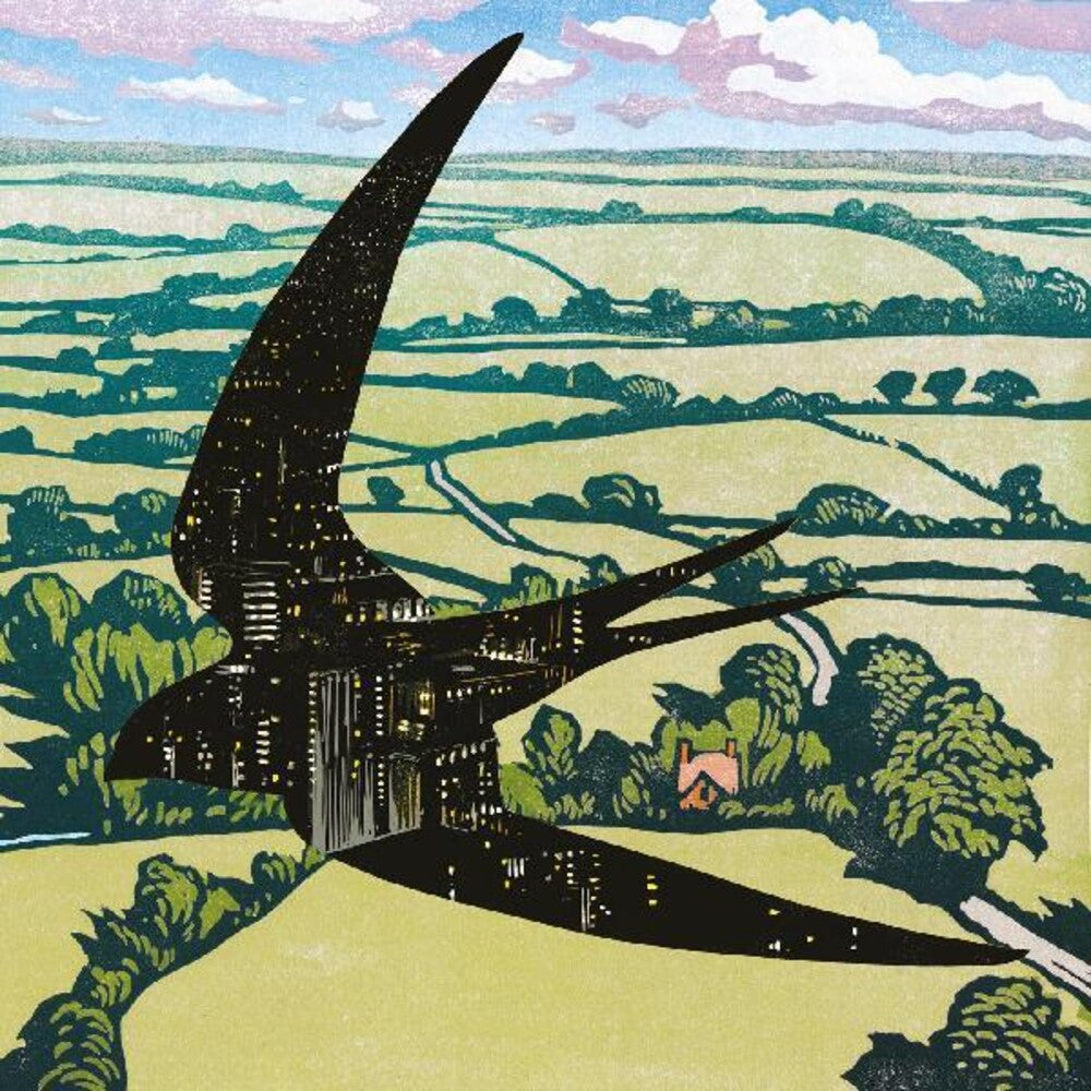 the album cover for Bibio - Sleep On The Wing [LP]