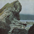 the album cover for Motorama - Many Nights