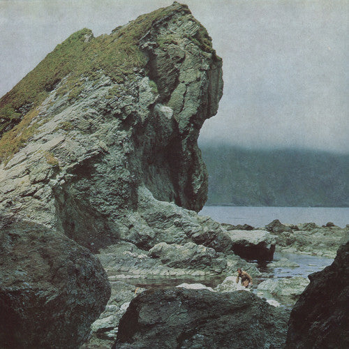 the album cover for Motorama - Many Nights