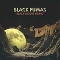 the album cover for Black Pumas - Black Moon Rising / Fire