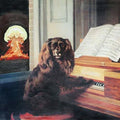 the album cover for Pill - Soft Hell