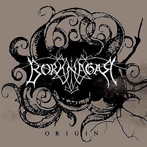 the album cover for Borknagar - Origin