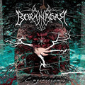 the album cover for Borknagar - Empiricism