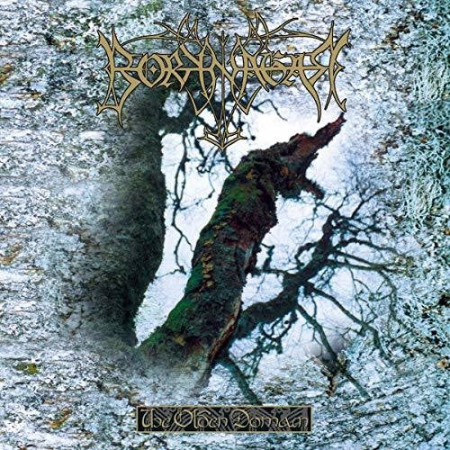the album cover for Borknagar - Olden Domain