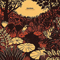 the album cover for Maisha - There Is A Place