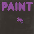 the album cover for Paint - Paint [LP]