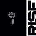 the album cover for Rise Against - Career Vinyl Book [8LP Box Set]