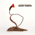 the album cover for Meg Baird / Lattimore,Mary - Ghost Forests