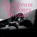 the album cover for Eiko Ishibashi - Dream My Bones Dream