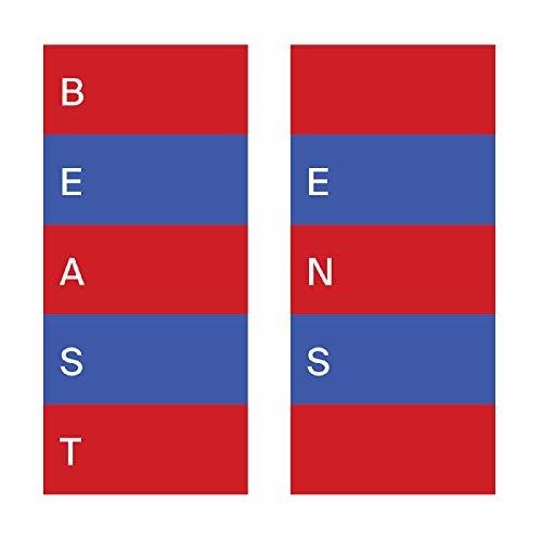the album cover for Beast - Ens