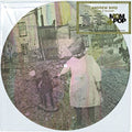 the album cover for Andrew Bird - Break It Yourself (Pict) [Download Included]