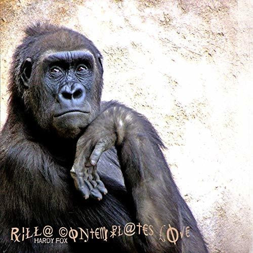 the album cover for Hardy Fox - Rilla Contemplates Love