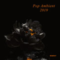 the album cover for Pop Ambient 2019 / Various - Pop Ambient 2019 (Various Artists)