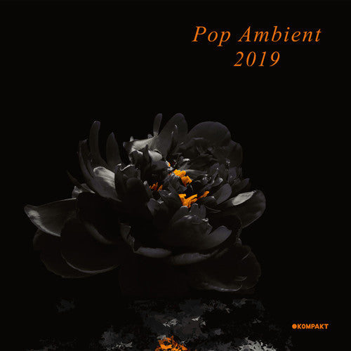 the album cover for Pop Ambient 2019 / Various - Pop Ambient 2019 (Various Artists)