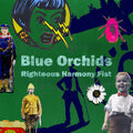 the album cover for Blue Orchids - Righteous Harmony Fist