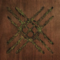 the album cover for Moon Tooth - Violent Grief: Acoustic Selections EP [Vinyl]