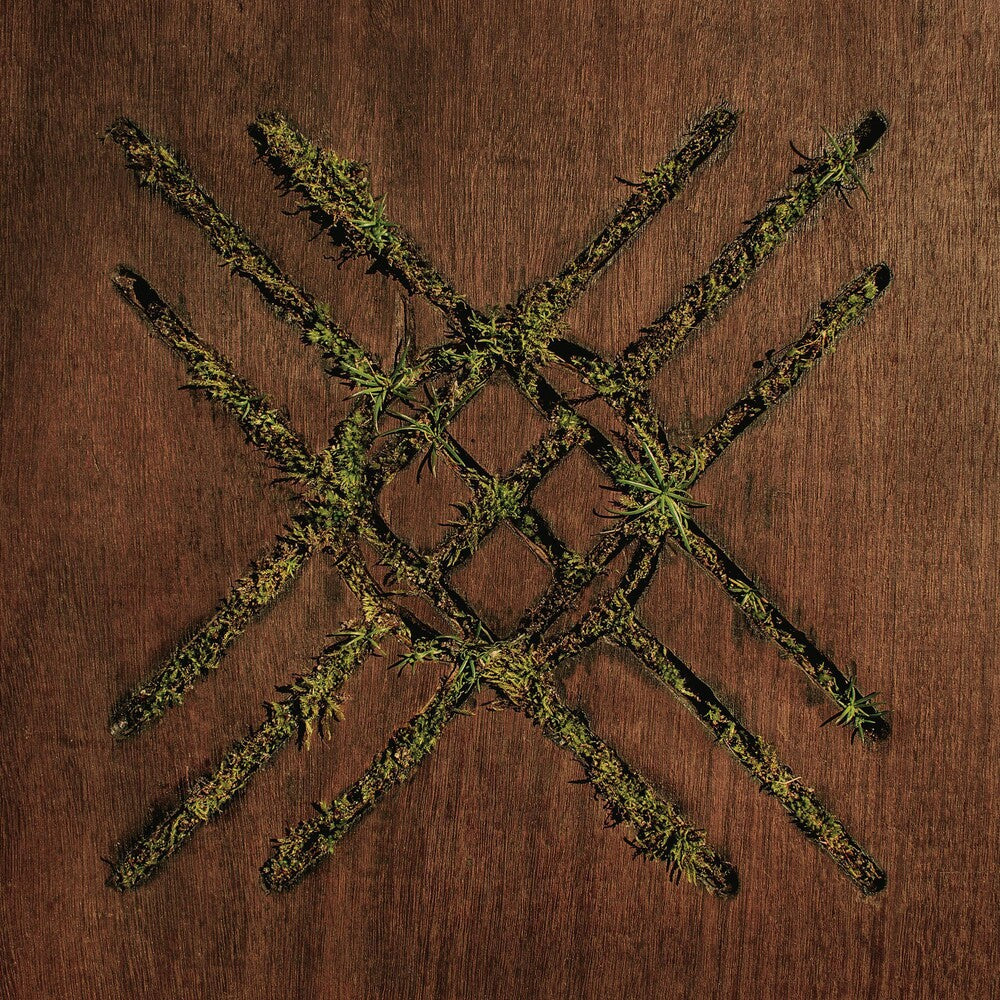 the album cover for Moon Tooth - Violent Grief: Acoustic Selections EP [Vinyl]